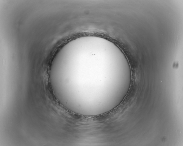 X0000093601493200710291132