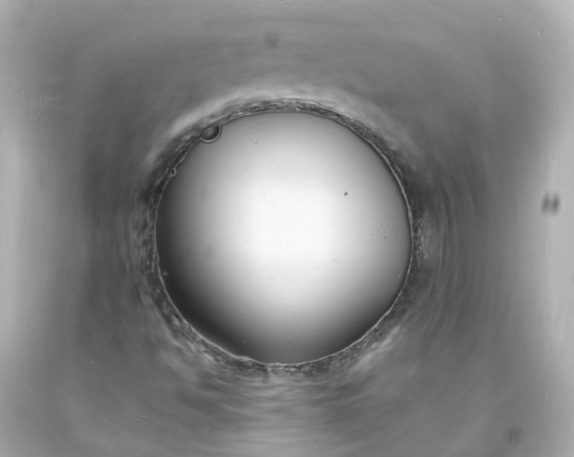 X0000093601494200710291132