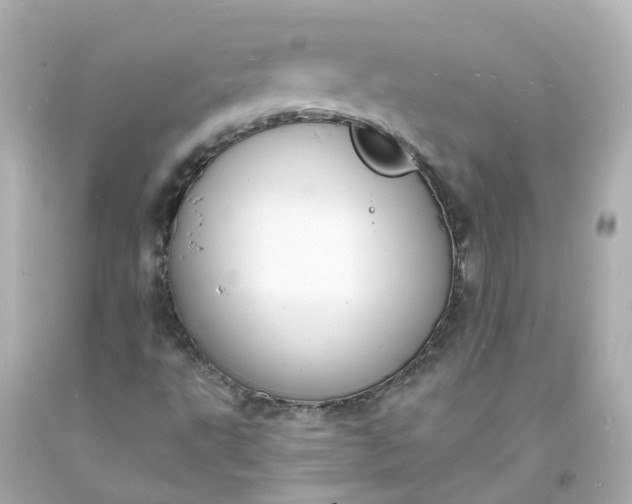 X0000093601495200710291132