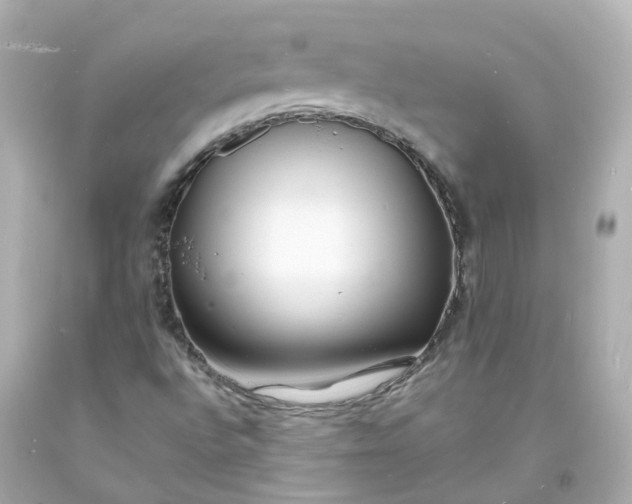 X0000093601496200710291132