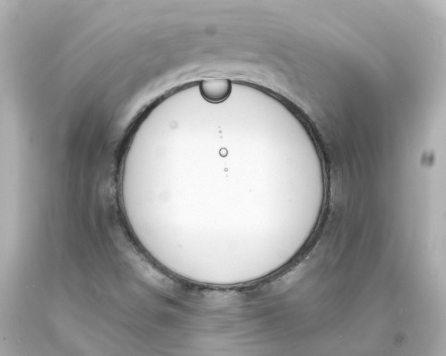 X0000093601498200710291132