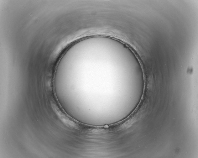 X0000093601499200710291132