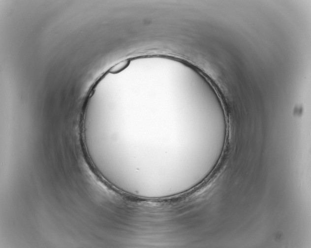 X0000093601500200710291132