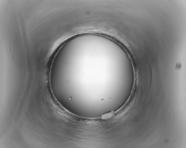 X0000093601501200710291132