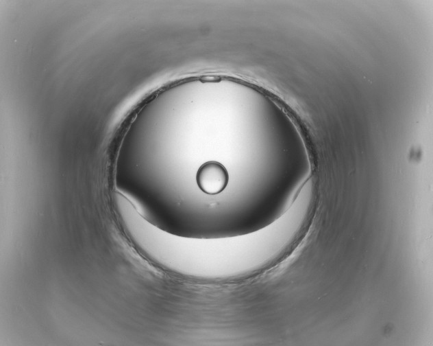 X0000093601502200710291132