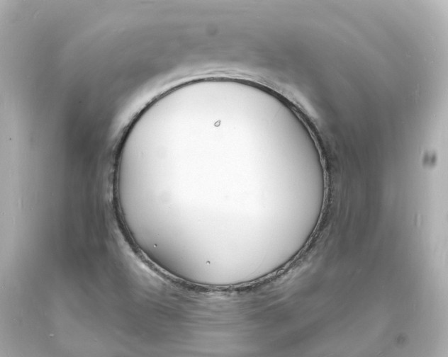 X0000093601504200710291132