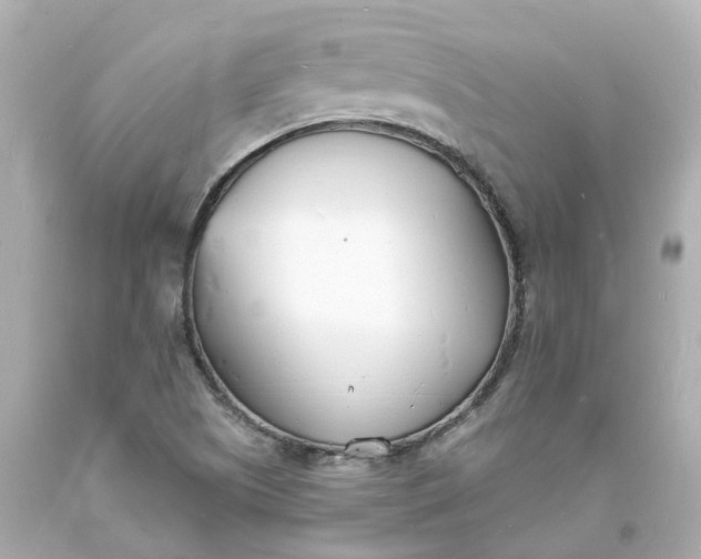 X0000093601505200710291132