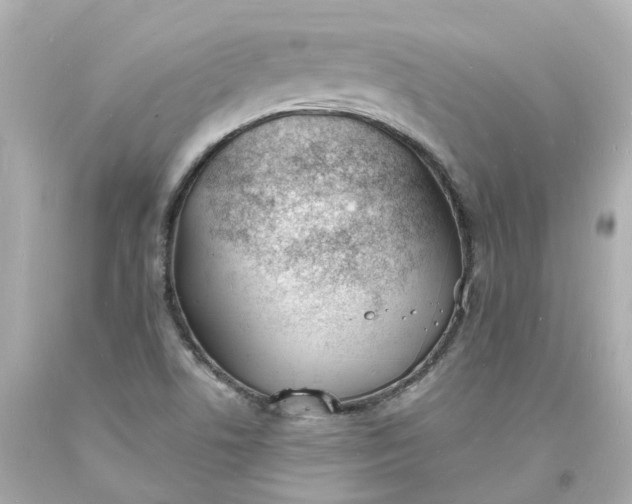 X0000093601506200710291132