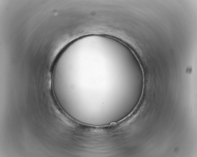 X0000093601509200710291132