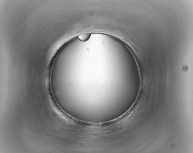 X0000093601511200710291132