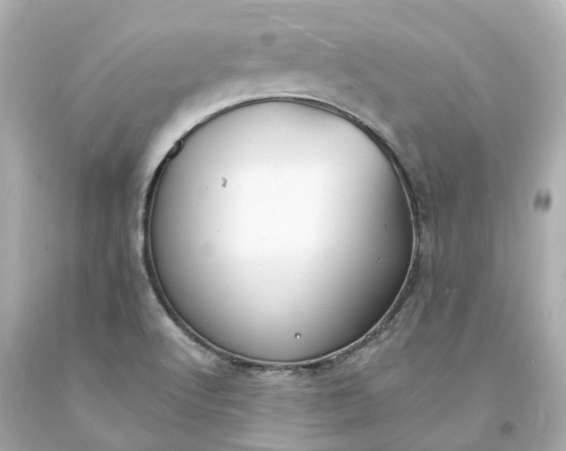 X0000093601512200710291132