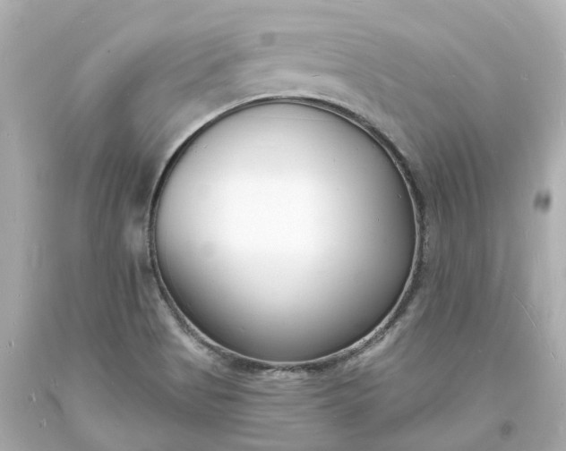 X0000093601513200710291132