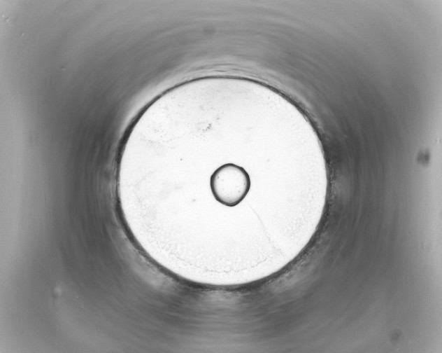 X0000093601514200710291132