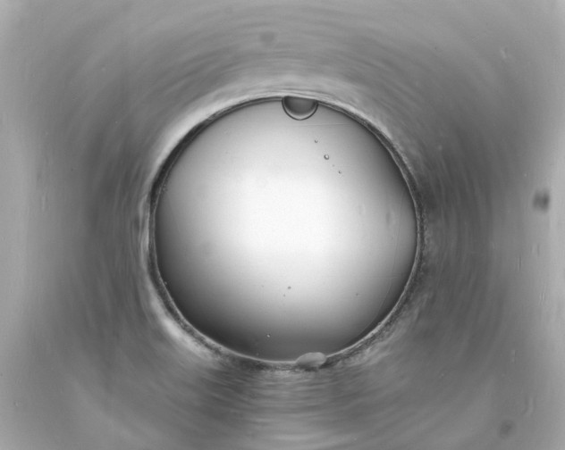 X0000093601515200710291132