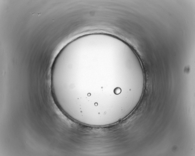 X0000093601516200710291133