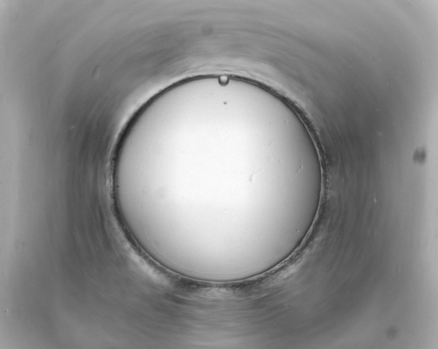 X0000093601517200710291133