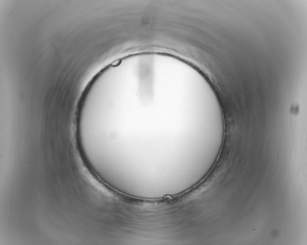 X0000093601518200710291133