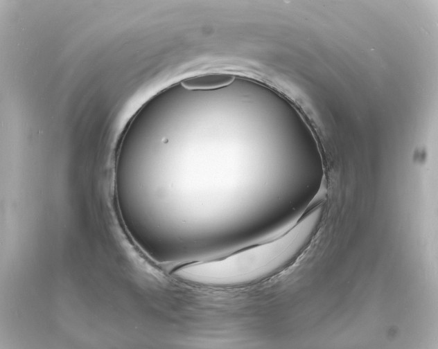 X0000093601520200710291133