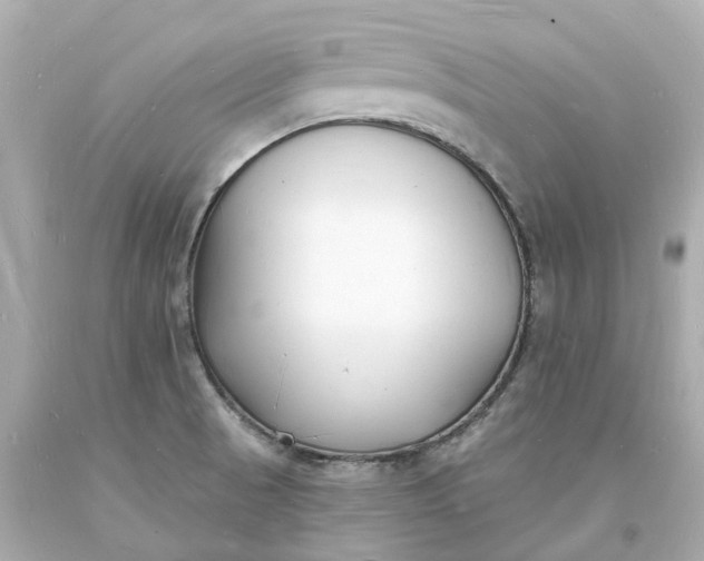 X0000093601521200710291133