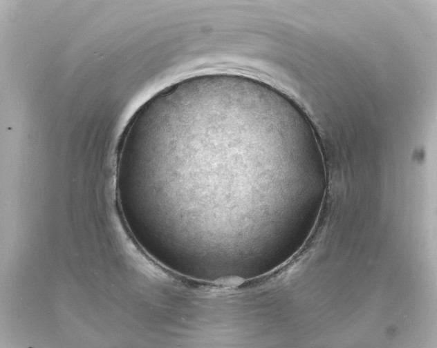 X0000093601522200710291133