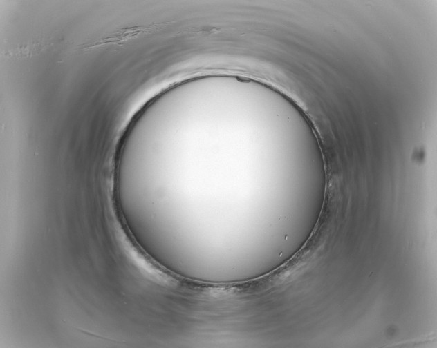 X0000093601523200710291133