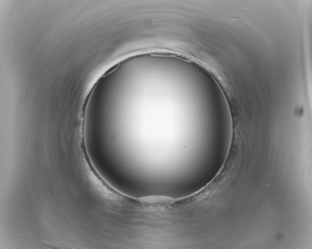 X0000093601524200710291133