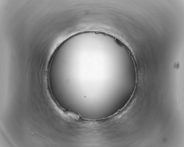 X0000093601525200710291133