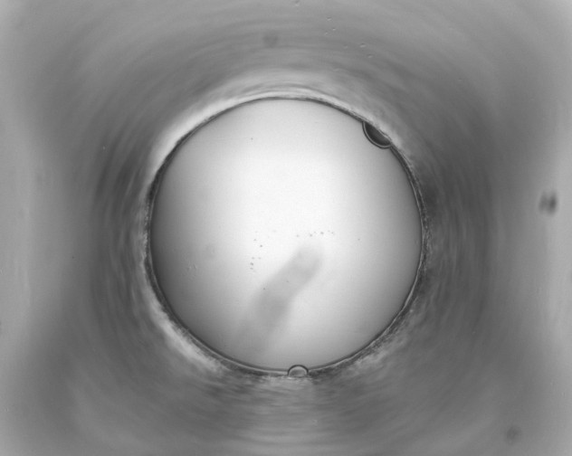 X0000093601526200710291133