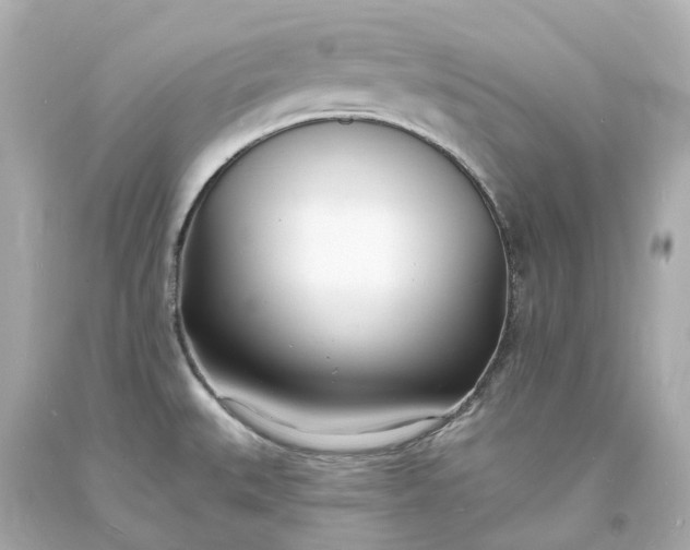 X0000093601527200710291133