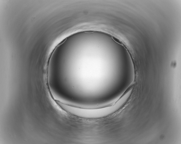 X0000093601528200710291133