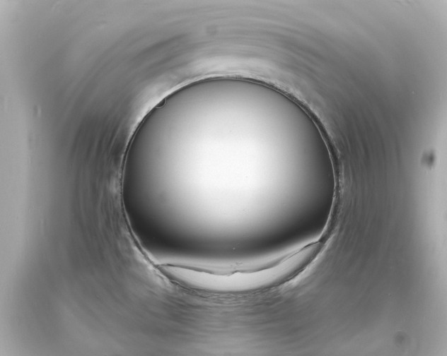 X0000093601529200710291133