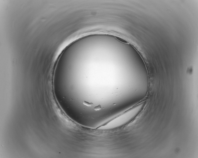 X0000093601530200710291133