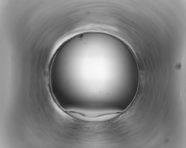 X0000093601531200710291133