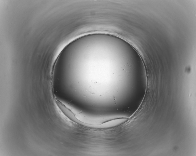 X0000093601532200710291133