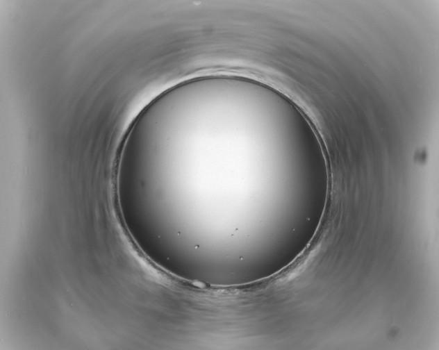 X0000093601533200710291133