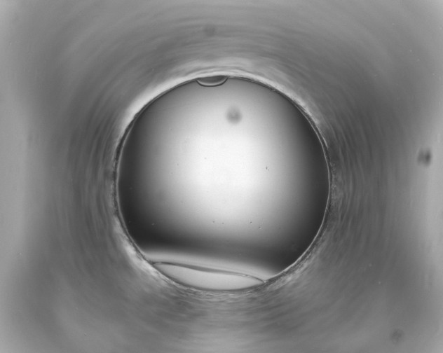 X0000093601534200710291133