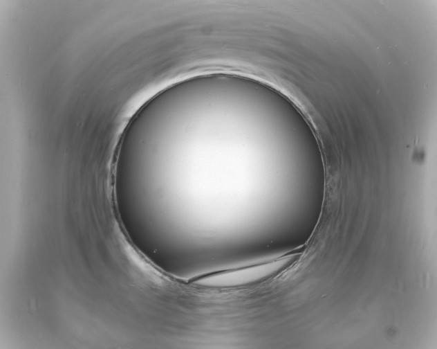 X0000093601535200710291133