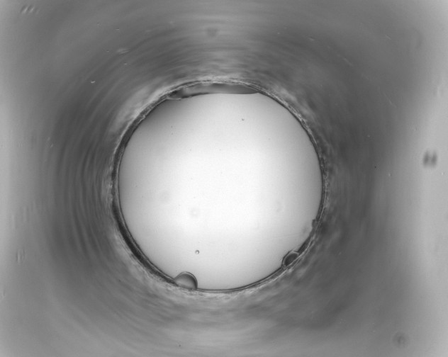 X0000093600002200711051208