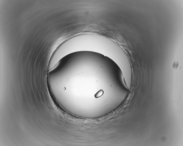 X0000093600003200711051208