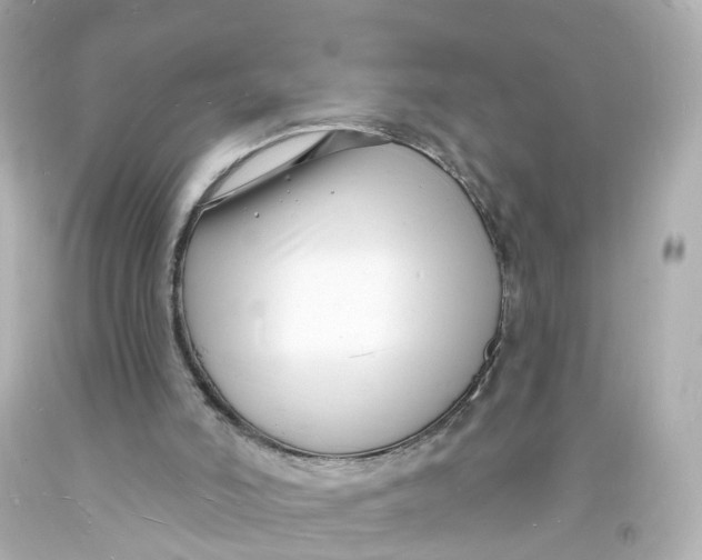 X0000093600006200711051208