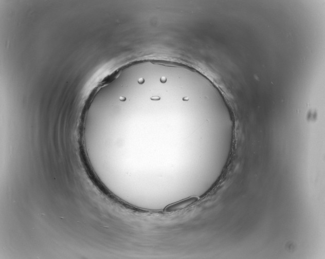 X0000093600007200711051208