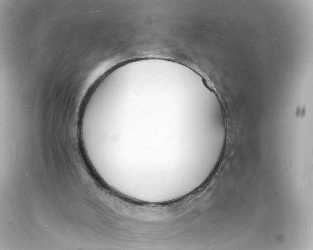 X0000093600008200711051208