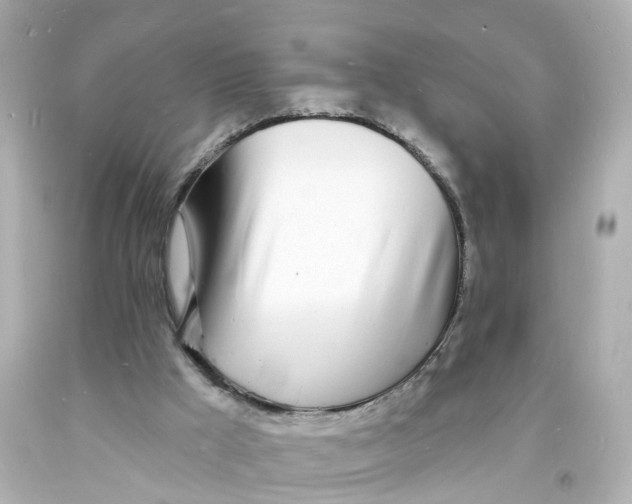 X0000093600009200711051208