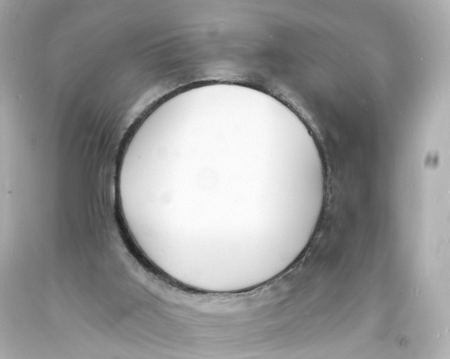 X0000093600011200711051208