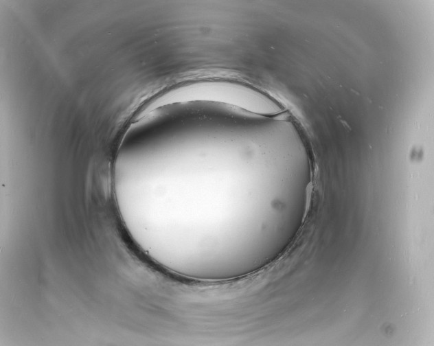 X0000093600013200711051208