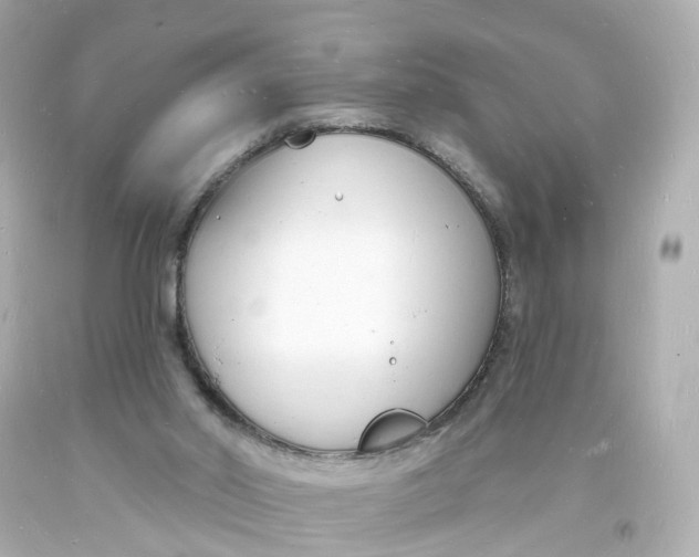 X0000093600014200711051208