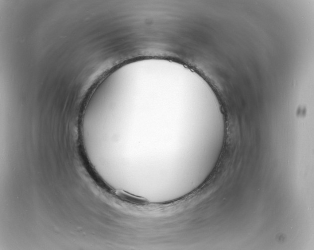 X0000093600015200711051208