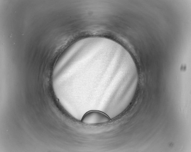 X0000093600018200711051208