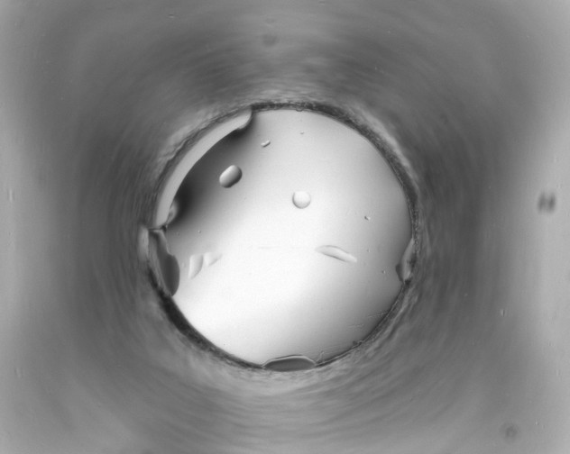 X0000093600019200711051208