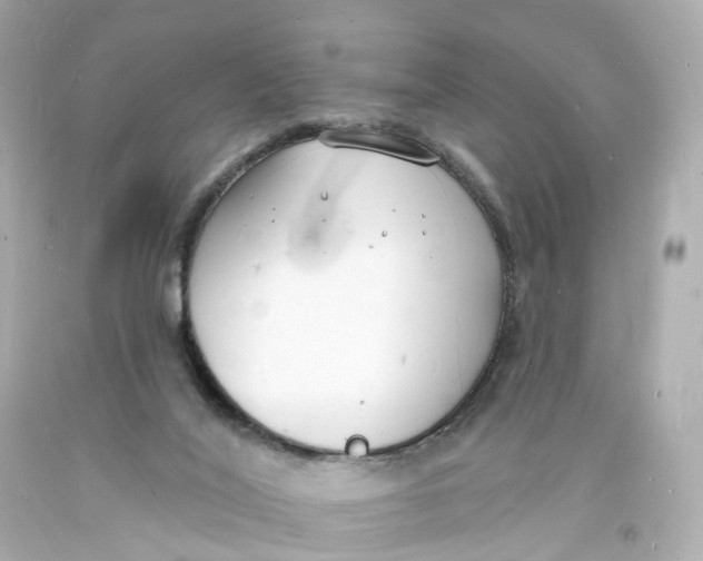 X0000093600020200711051208